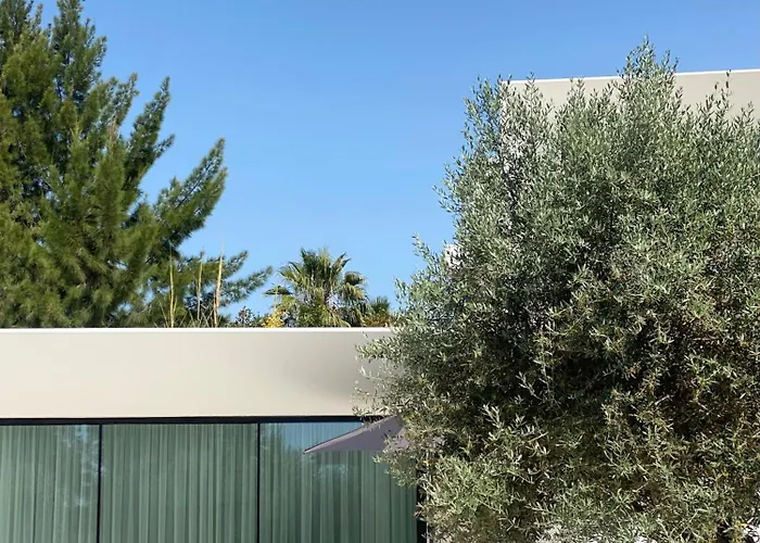 White Olive Villas